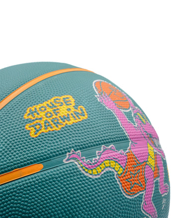 Hoop Dreams Basketball