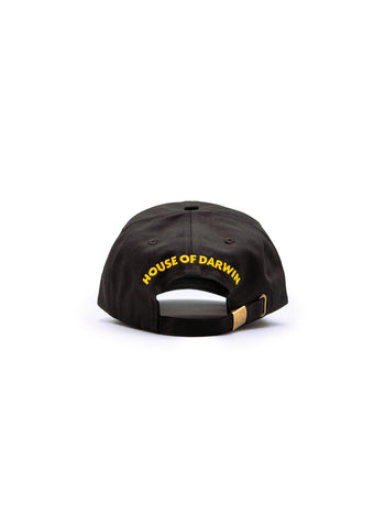 Twirl Cap